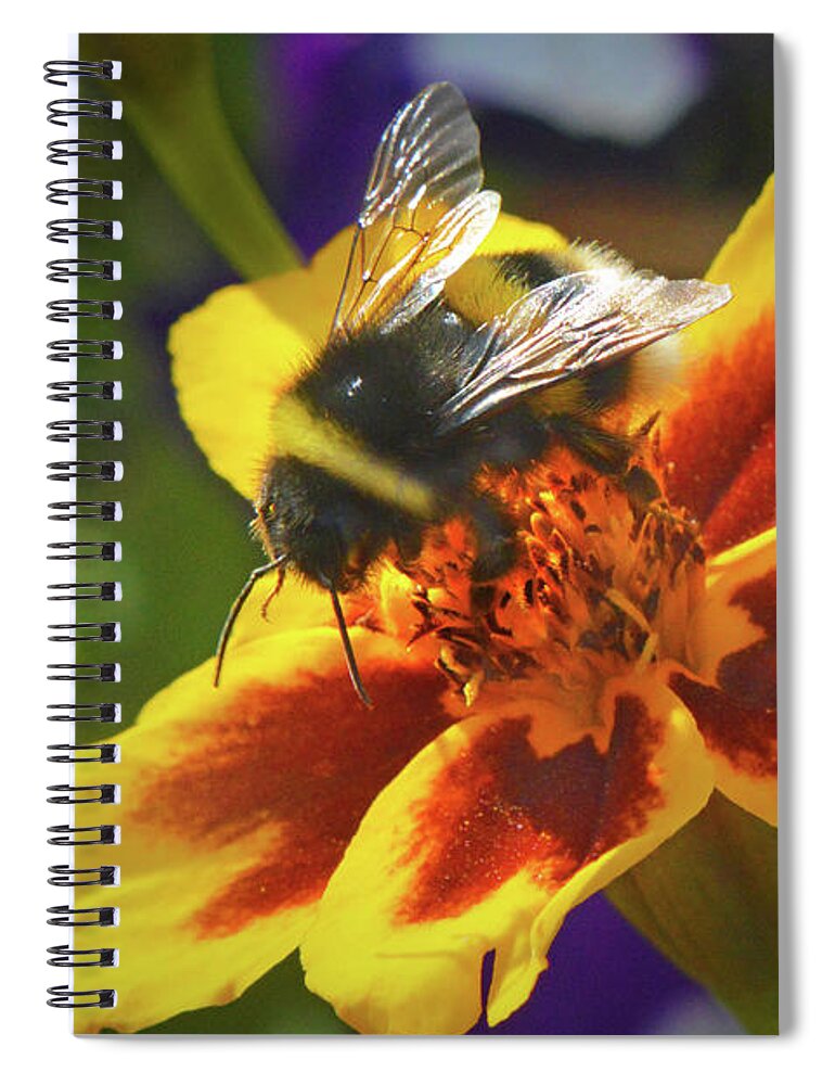 Nature Spiral Notebook featuring the photograph The Pollinator. by Terence Davis