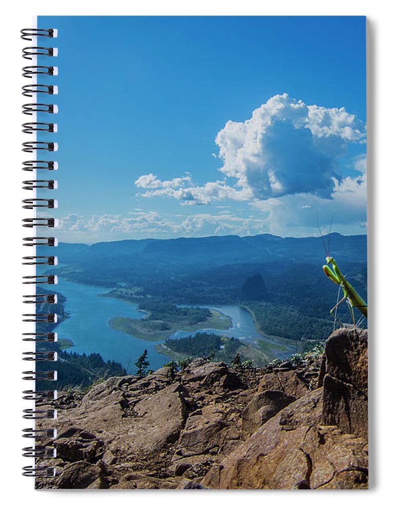 Animal Spiral Notebook featuring the photograph The Praying Mantis of Munra Point by Pelo Blanco Photo