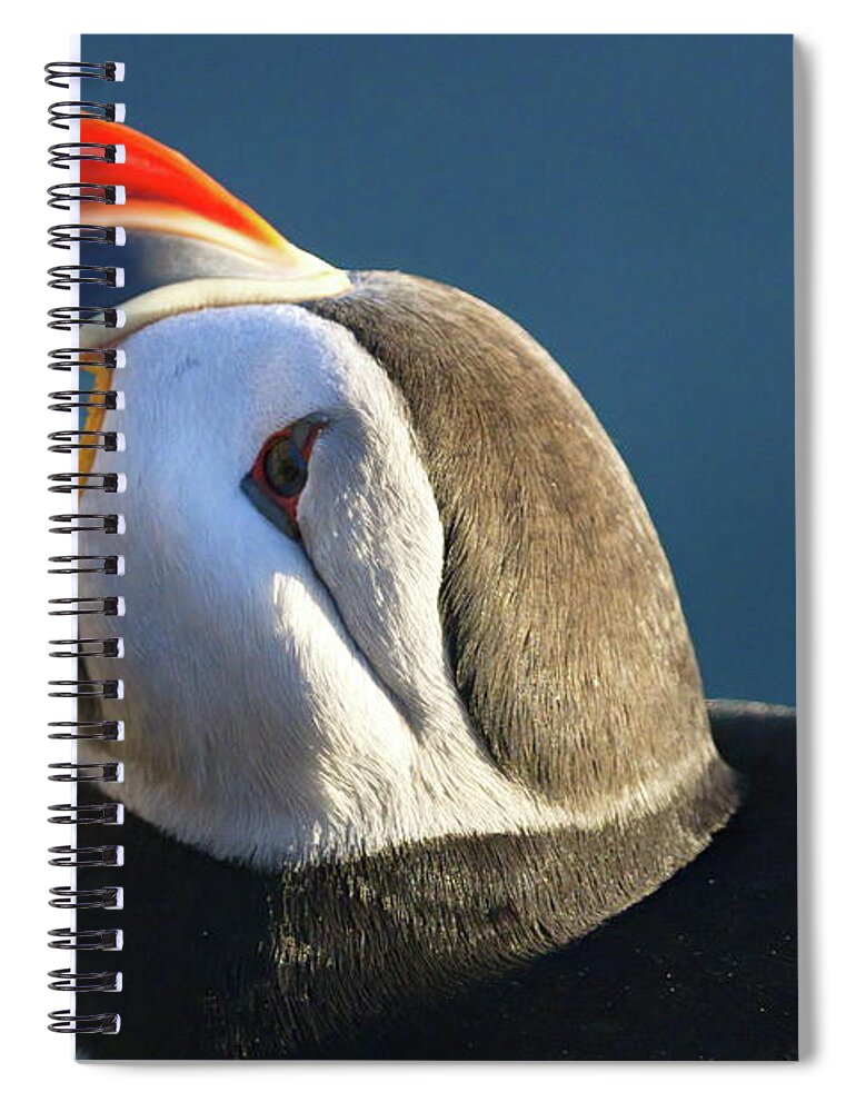Iceland Spiral Notebook featuring the photograph The puffin speaks by Christopher Mathews