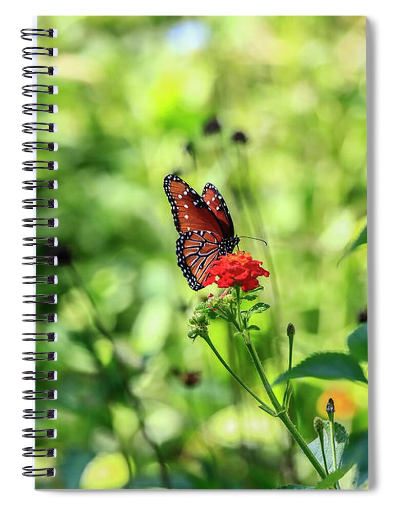 Arboretum Spiral Notebook featuring the photograph The Queen on Her Throne by Kathy McClure