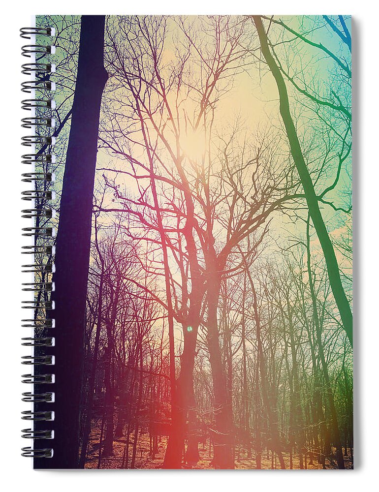 Forest Spiral Notebook featuring the photograph The Rainbow Forest by Amy Neufeld