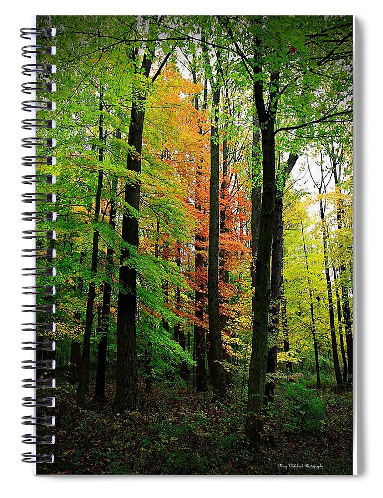 Autumn Spiral Notebook featuring the photograph The Return of Autumn by Mary Walchuck