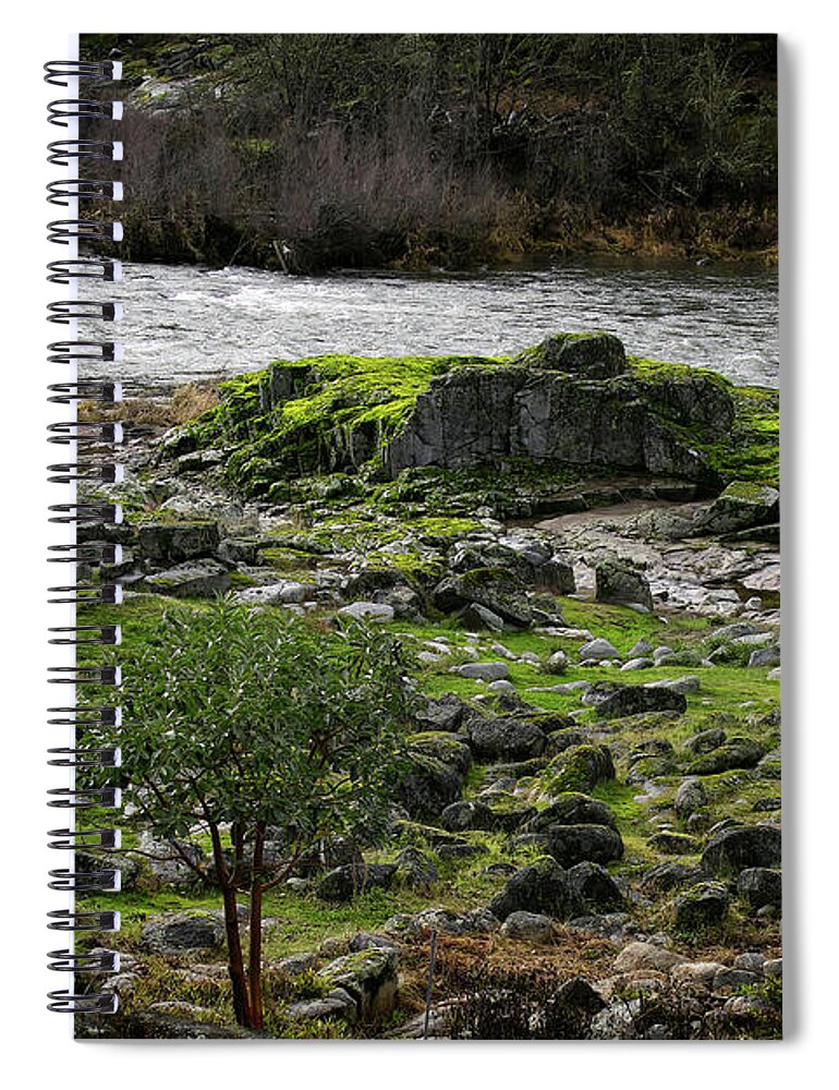Rouge River Spiral Notebook featuring the photograph The Rouge River I by Theresa Fairchild