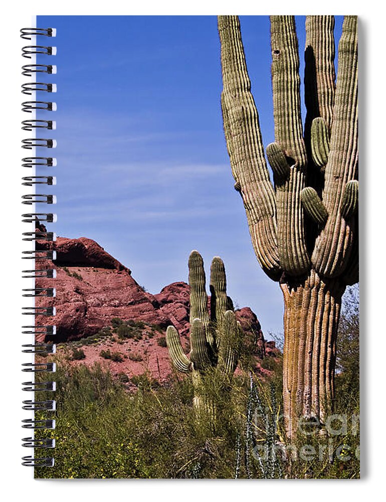 Cactus Spiral Notebook featuring the photograph The Saguaro Cacti and Red Rocks by Kirt Tisdale