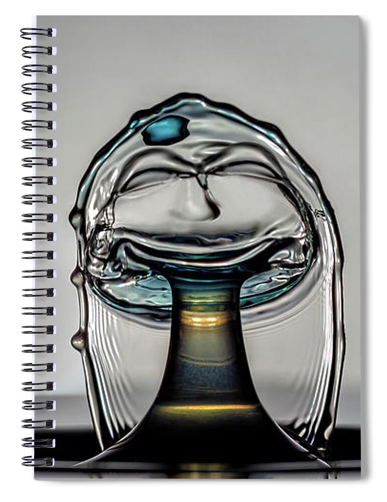 Photograph Spiral Notebook featuring the photograph The Smile by Michael McKenney