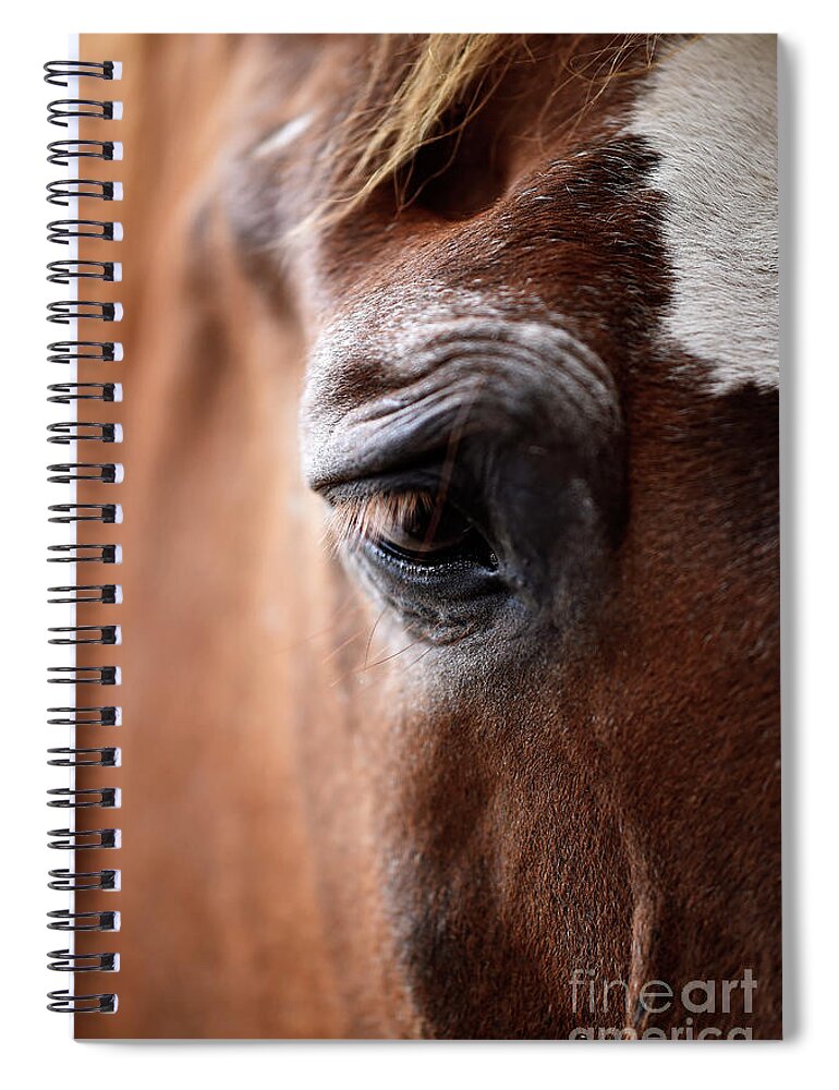 Rosemary Farm Spiral Notebook featuring the photograph The Soul of an Old Horse by Carien Schippers