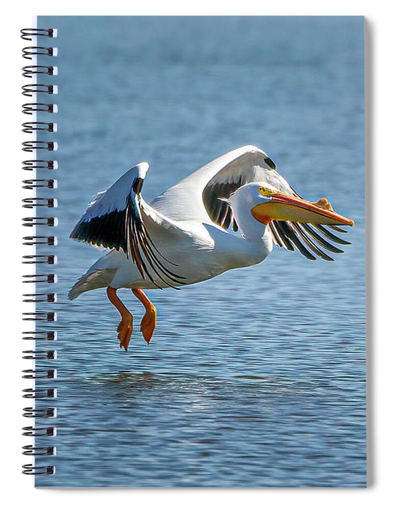 Lake Bloomington Spiral Notebook featuring the photograph The Take-off by Ray Silva