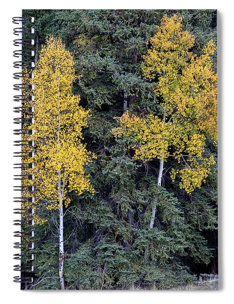 Nature Spiral Notebook featuring the photograph The Three Sisters by Steve Templeton