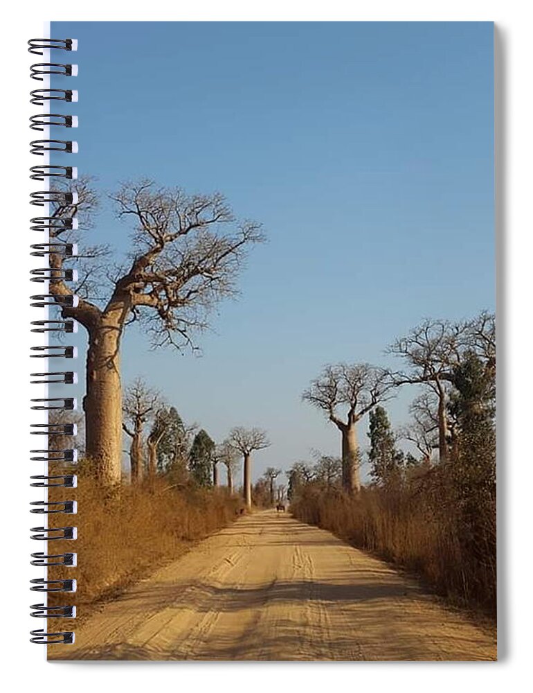 All Spiral Notebook featuring the digital art The Trees in Baobab Alley in Madagascar KN50 by Art Inspirity
