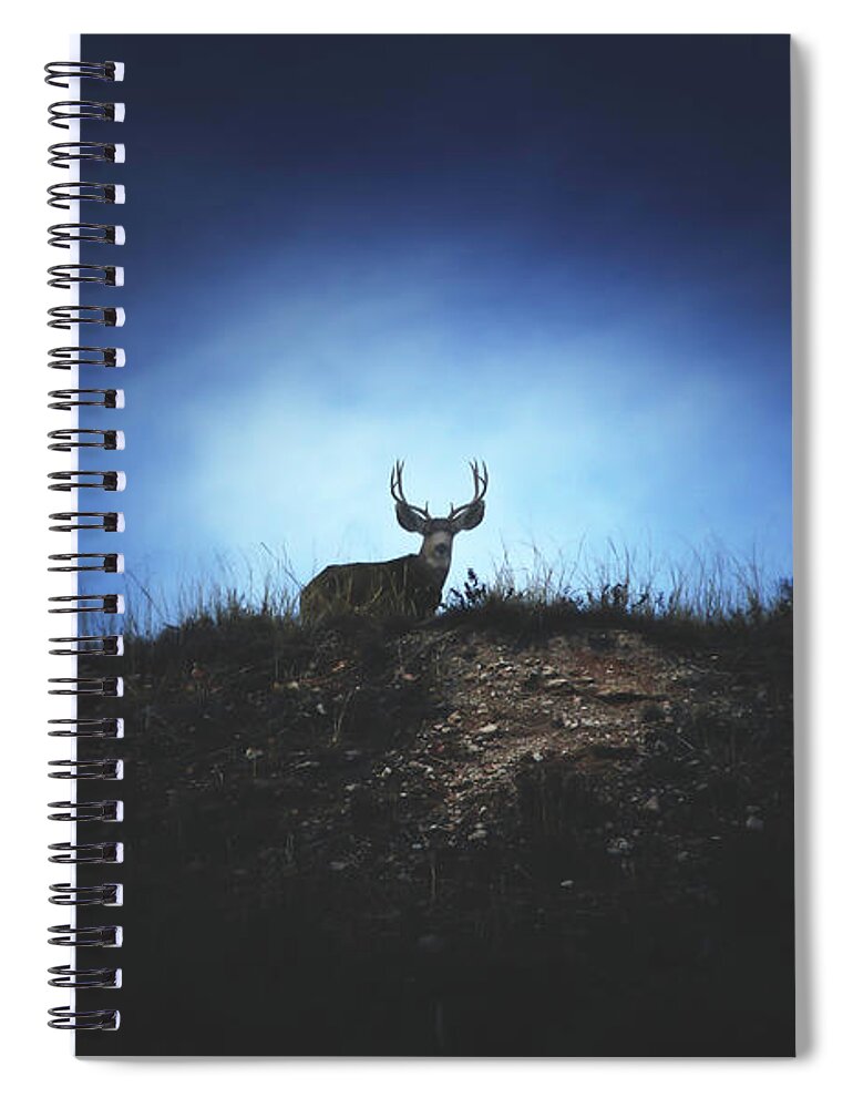 Buck Spiral Notebook featuring the photograph The Visitor by Brian Gustafson