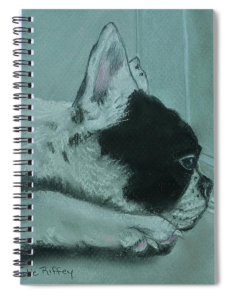 Boston Terrier Spiral Notebook featuring the pastel The Wait  Boston Terrier by Julie Brugh Riffey