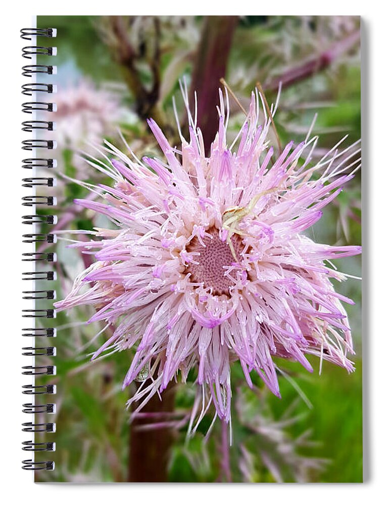 Secret Wildflower Spiral Notebook featuring the photograph The Wildflower's Secret by Pamela Smale Williams
