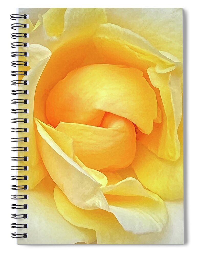 Flora Spiral Notebook featuring the photograph The Yellow Rose by Mary Lee Dereske