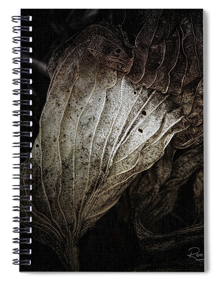 Hosta Spiral Notebook featuring the photograph There's Beauty In the Ending, Too by Rene Crystal