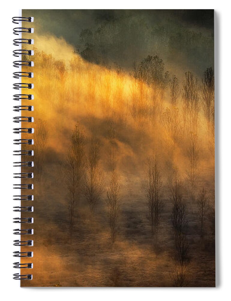 Bulgaria Spiral Notebook featuring the photograph Thin Forest by Evgeni Dinev