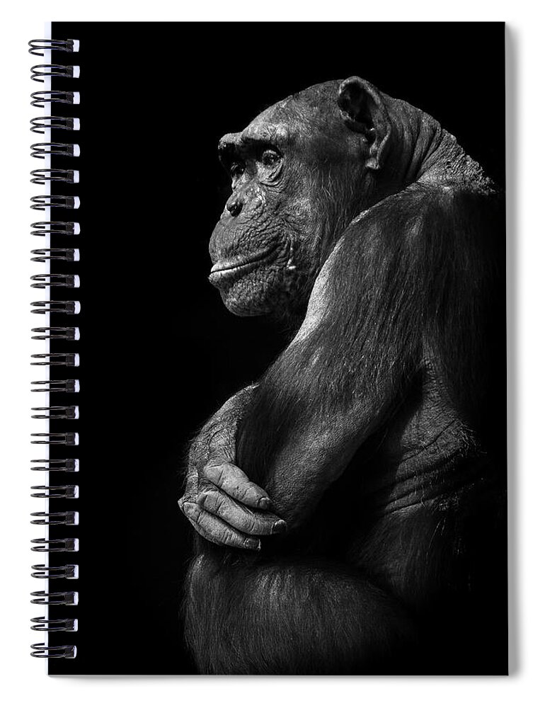 Chimp Spiral Notebook featuring the photograph Thinking by Bill Cubitt