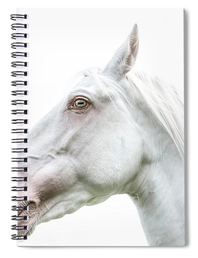 Photographs Spiral Notebook featuring the photograph Thinking - Horse Art by Lisa Saint