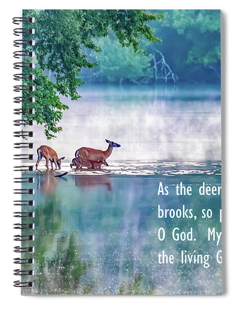 Deer Spiral Notebook featuring the photograph Thirsty for More Than Water by Marcy Wielfaert