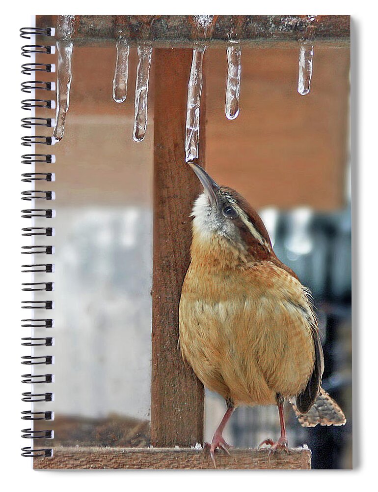 Nature Spiral Notebook featuring the photograph Thirsty by Gina Fitzhugh