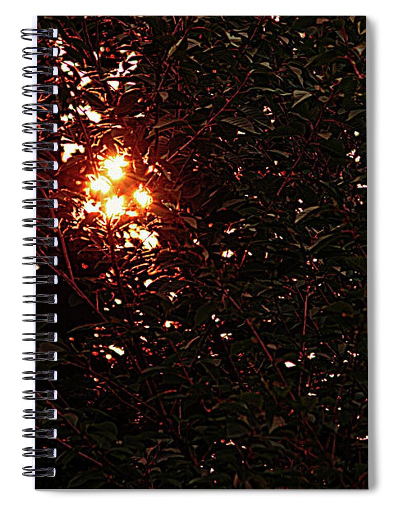 Wildfire Spiral Notebook featuring the photograph This Burning Island by Mike Smale