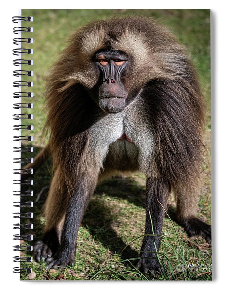 David Levin Photography Spiral Notebook featuring the photograph This is How I Look When I'm Happy by David Levin