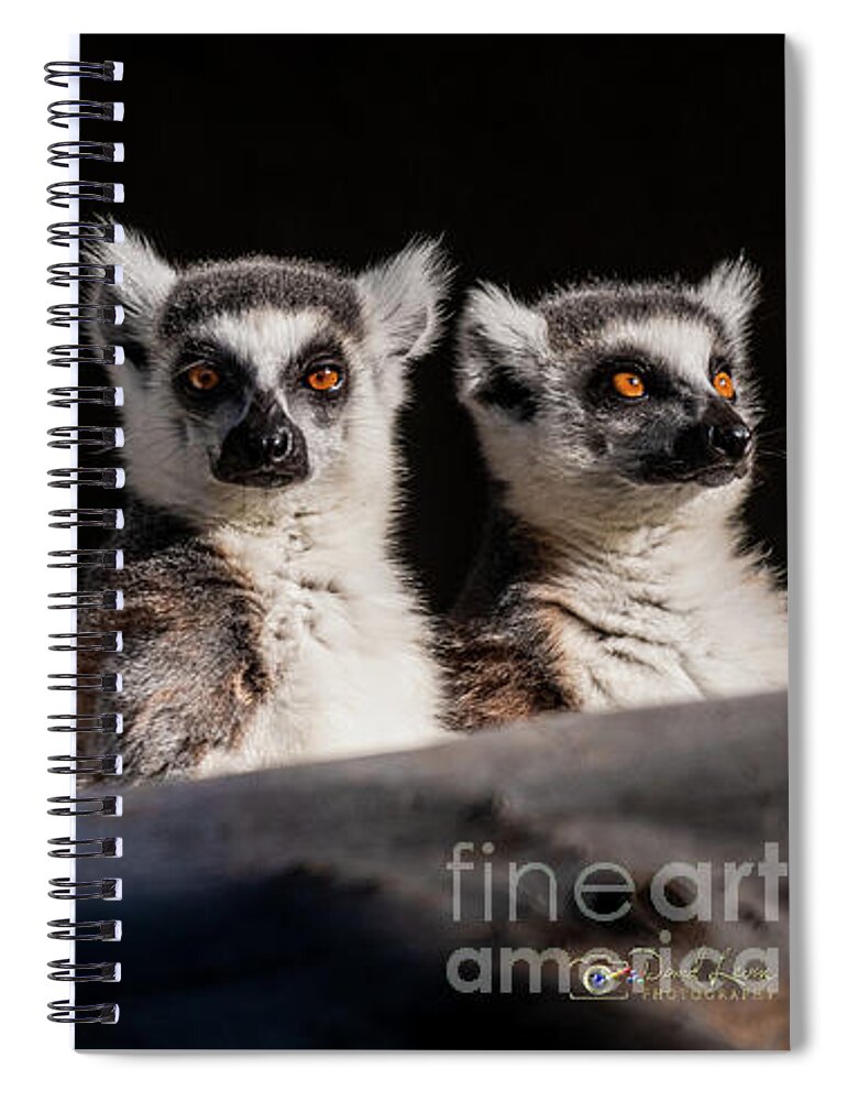 David Levin Photography Spiral Notebook featuring the photograph This Spot's for You by David Levin