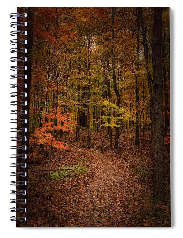 Firestone Park Spiral Notebook featuring the photograph This Way to Fall by Rosette Doyle