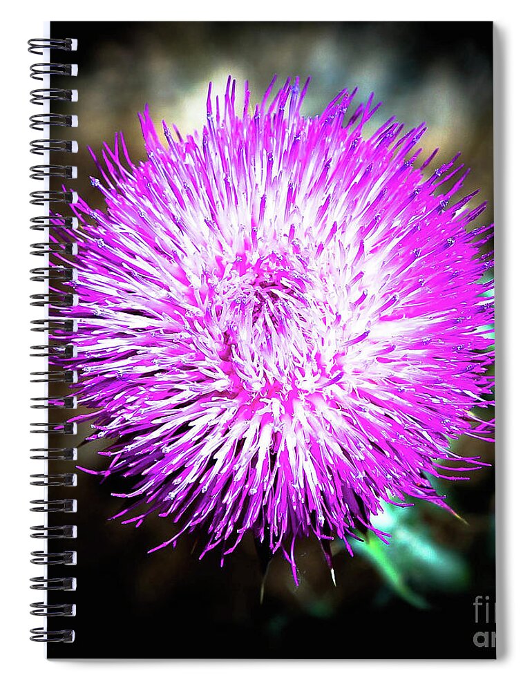 Thistle Spiral Notebook featuring the photograph Thistle by Veronica Batterson