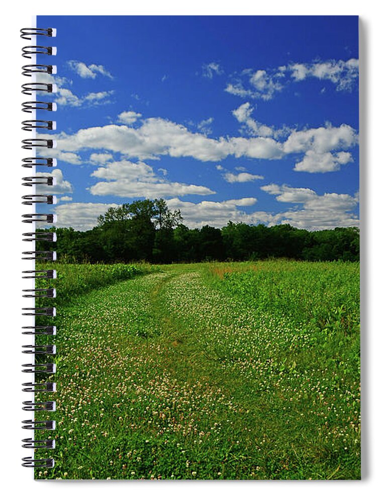 Thompson Park Spring Green Spiral Notebook featuring the photograph Thompson Park Spring Green 8 by Raymond Salani III