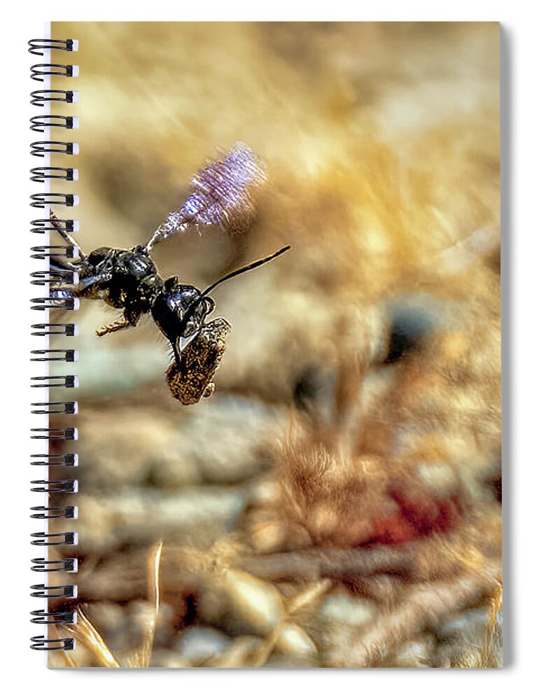 Thread-wasted Wasp Spiral Notebook featuring the photograph Thread-wasted Wasp by Timothy Anable
