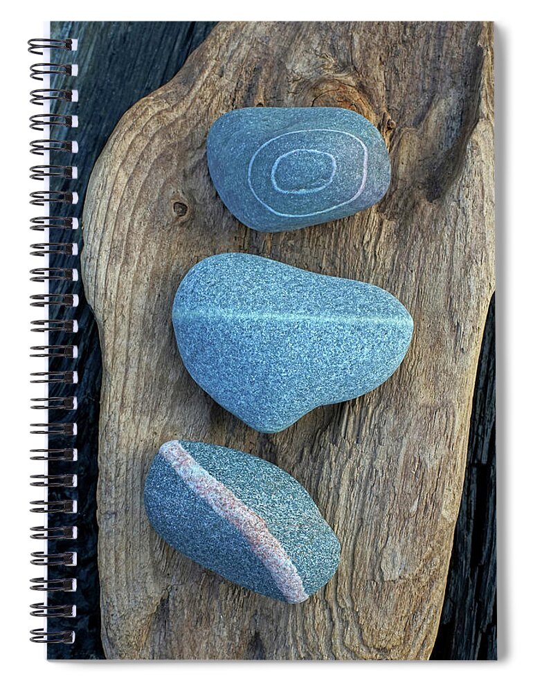 Stones Spiral Notebook featuring the photograph Three Amigos Over Driftwood by Kathi Mirto