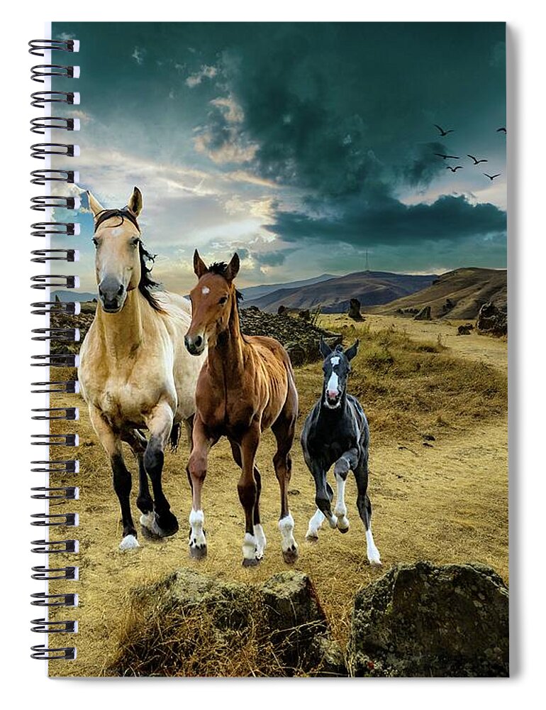 Horses Spiral Notebook featuring the digital art Three Amigos by Norman Brule