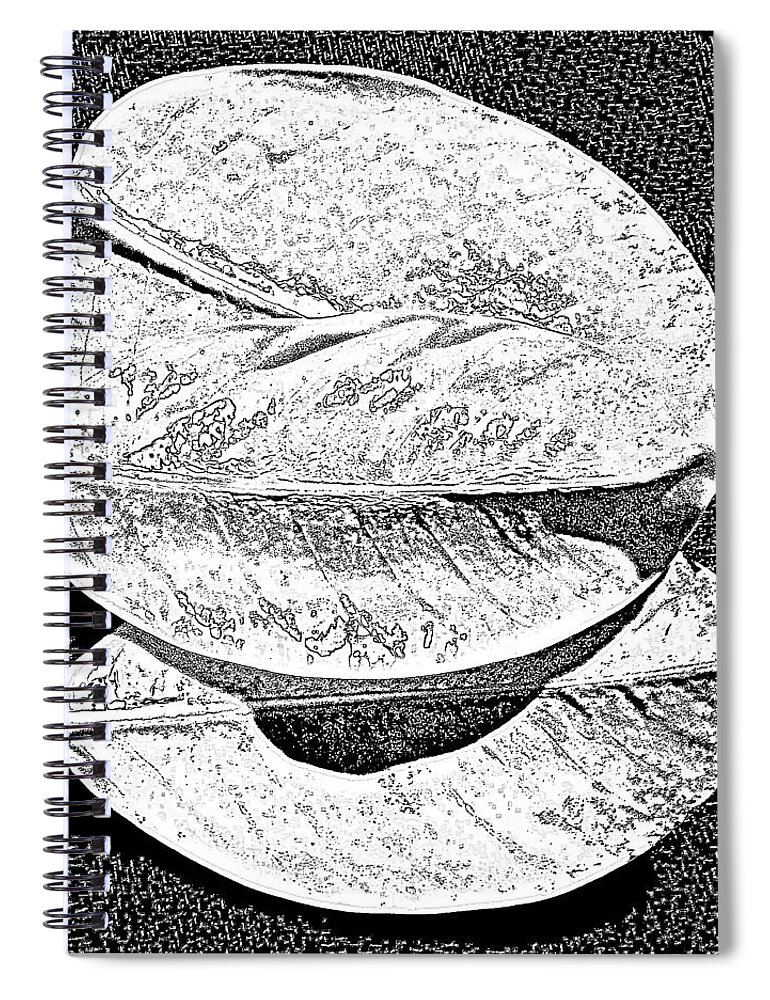 Three Leaves B-w Spiral Notebook featuring the photograph Three Leaves B-w by VIVA Anderson