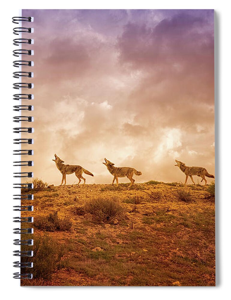 Coyote Spiral Notebook featuring the digital art Three Part Harmony by Nicole Wilde