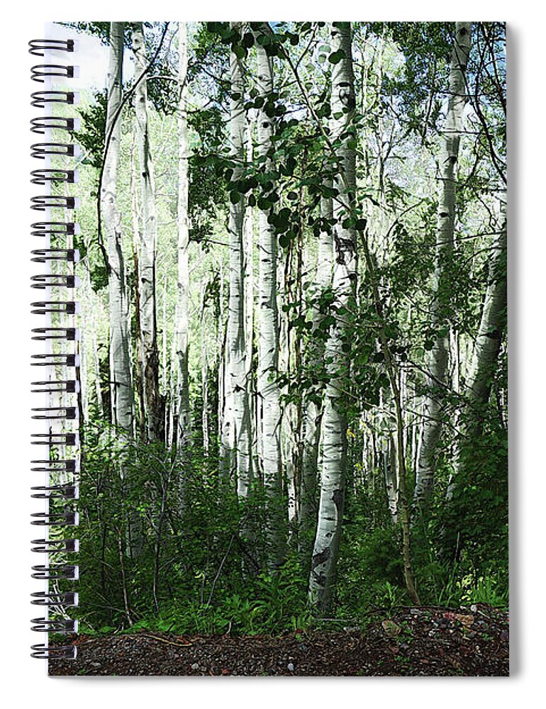Colorado Spiral Notebook featuring the digital art Three Plus Plus Trees by Deb Nakano