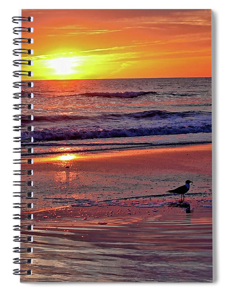 Seascape Spiral Notebook featuring the photograph Three Seagulls On A Sunset Beach by HH Photography of Florida