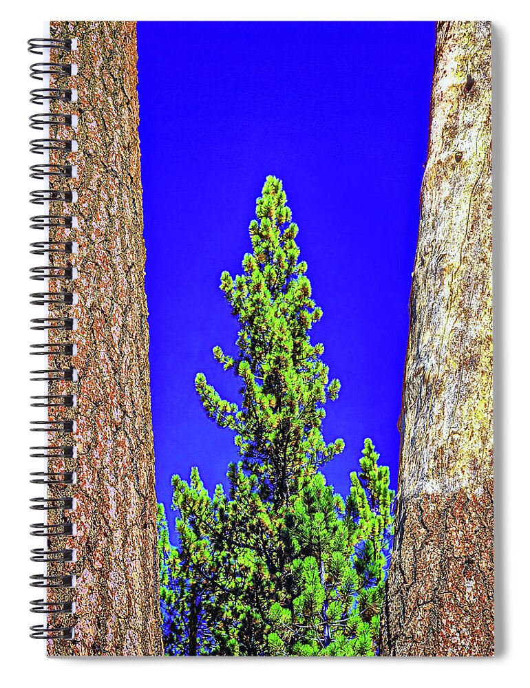 Three Spiral Notebook featuring the photograph Three Trees, High Sierras, California by Don Schimmel