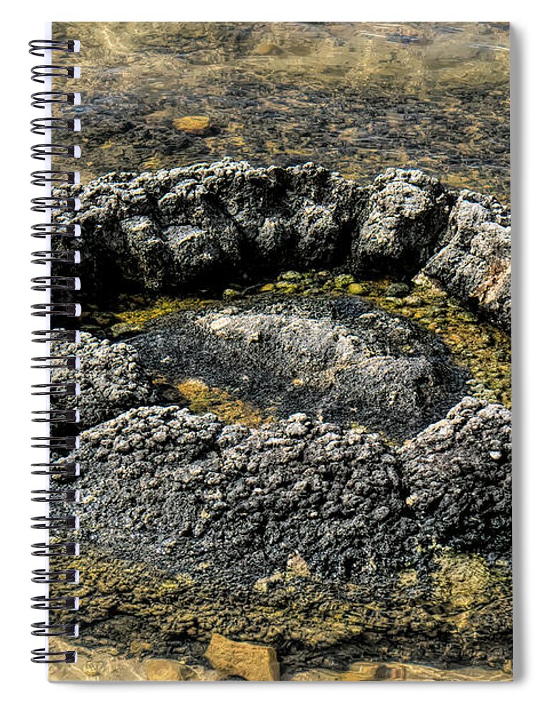 Stromatolites Spiral Notebook featuring the photograph Thrombolite by Elaine Teague