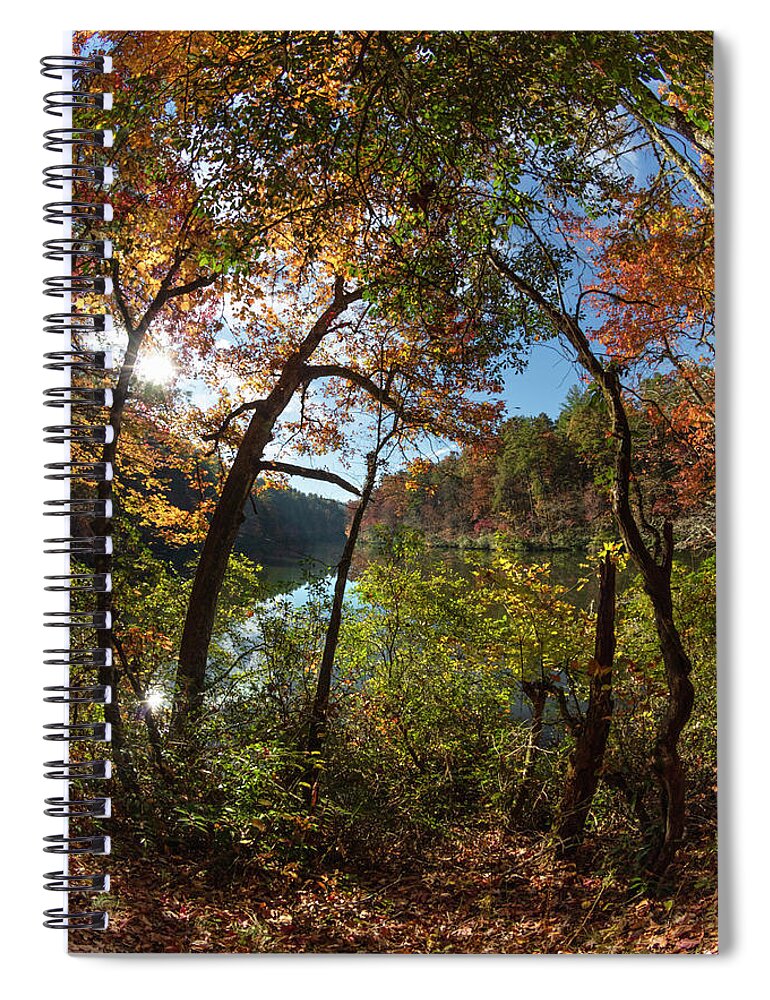 Carolina Spiral Notebook featuring the photograph Through the Trees at the Lake by Debra and Dave Vanderlaan