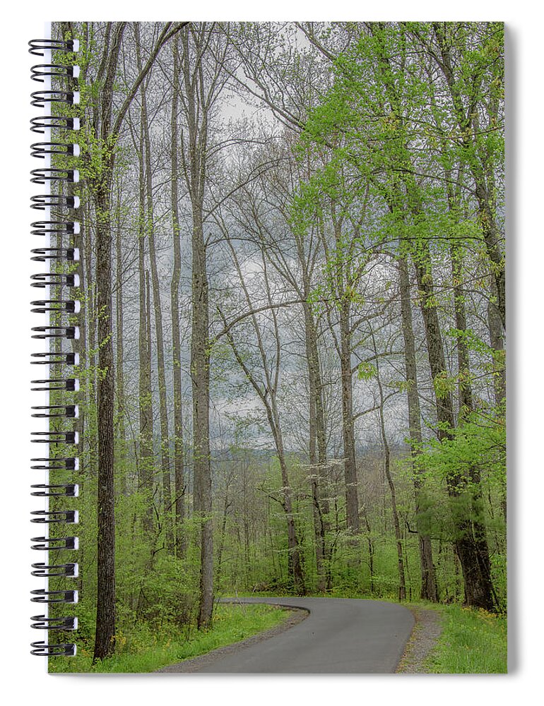 Great Smoky Mountains National Park Spiral Notebook featuring the photograph Through the Woods in Springtime by Marcy Wielfaert