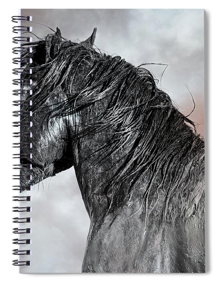 Wild Horses Spiral Notebook featuring the photograph Thunder by Mary Hone