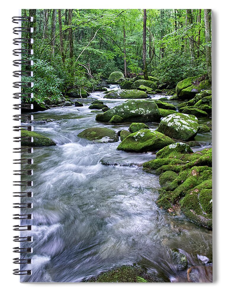 Smoky Mountains Spiral Notebook featuring the photograph Thunderhead Prong 15 by Phil Perkins