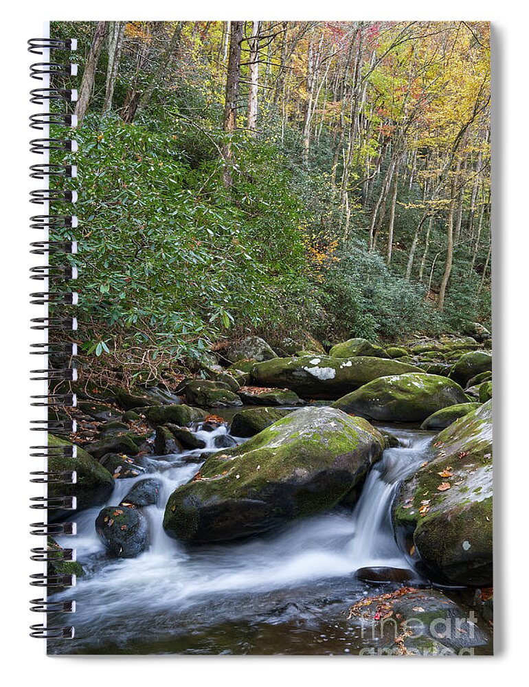 Smoky Mountains Spiral Notebook featuring the photograph Thunderhead Prong 27 by Phil Perkins