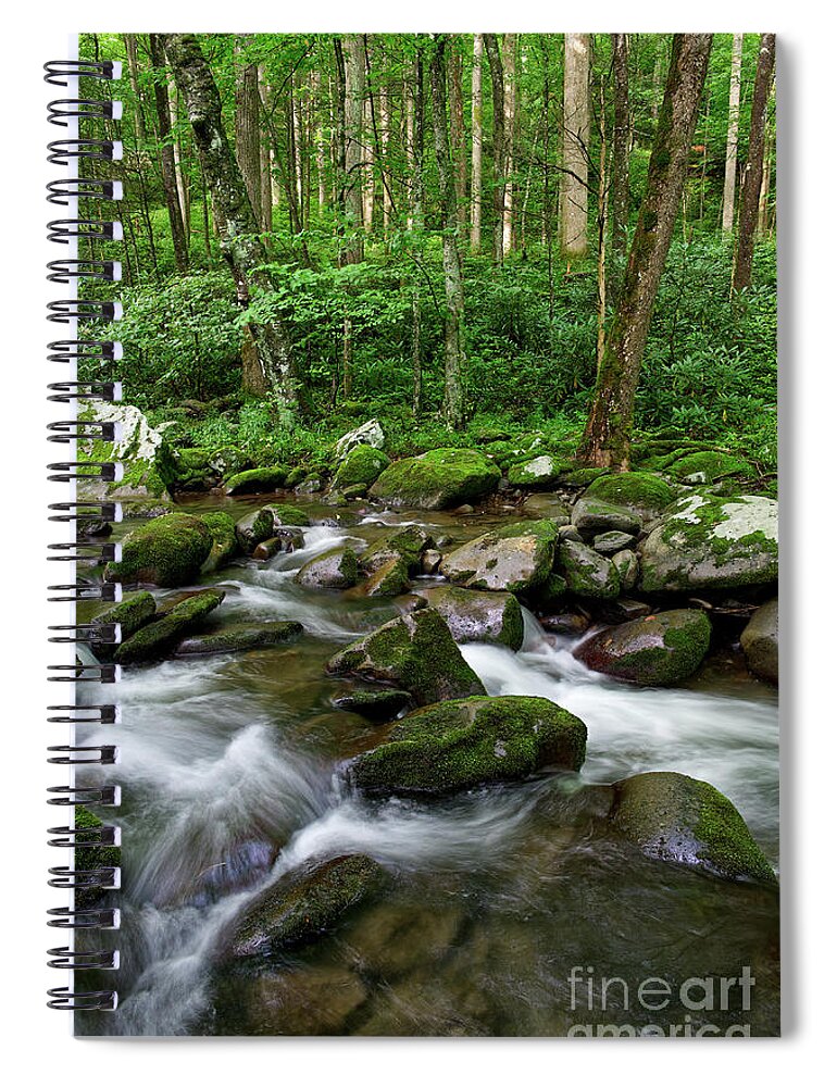 Smoky Mountains Spiral Notebook featuring the photograph Thunderhead Prong 6 by Phil Perkins
