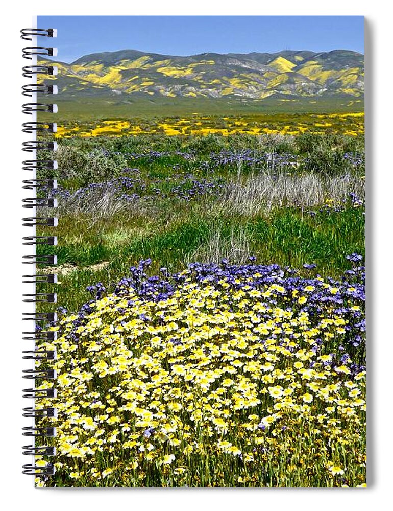 Carrizo Plain Spiral Notebook featuring the photograph Tidy Tips and Great Valley Phacelia Super Bloom Carrizo Plain by Amelia Racca