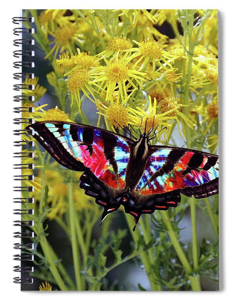 Butterflies Spiral Notebook featuring the photograph Tie-Dye Butterfly #3 by Ben Upham III