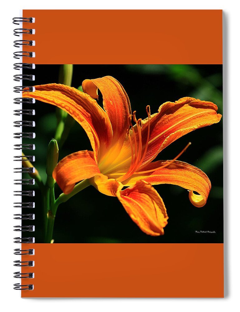 Flower Tiger Lily Nature Spiral Notebook featuring the photograph Tiger Lily Trance by Mary Walchuck