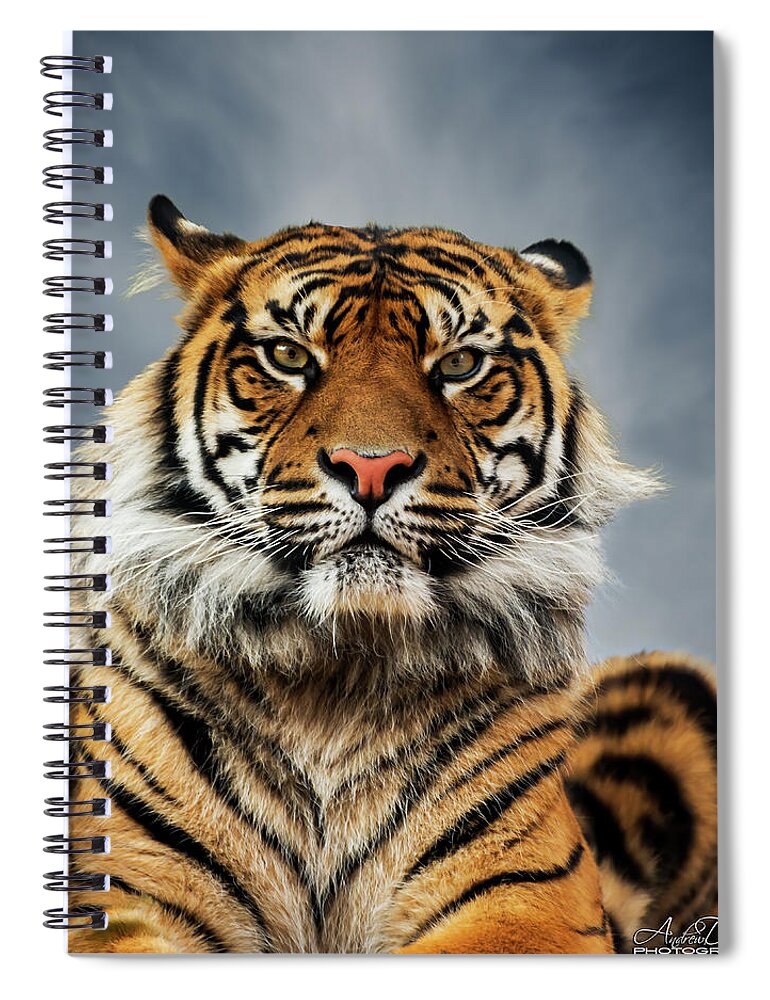 Tiger Spiral Notebook featuring the photograph Tiger Stare by Andrew Dickman