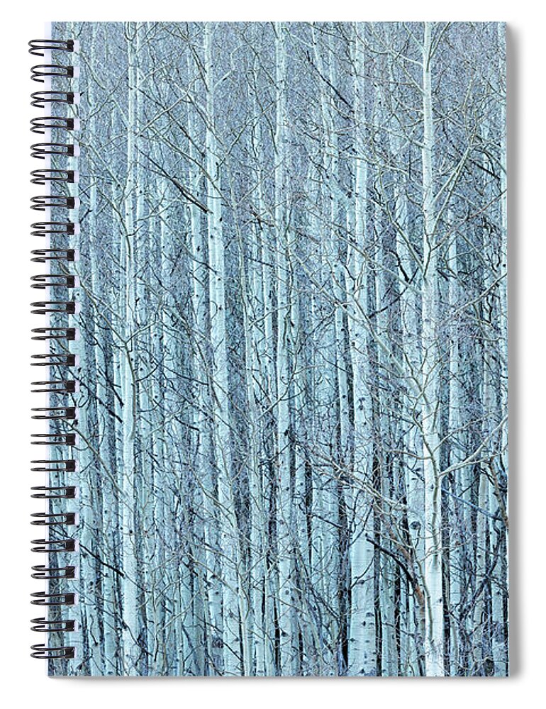 Aspen Spiral Notebook featuring the photograph Tight Family by Denise Bush