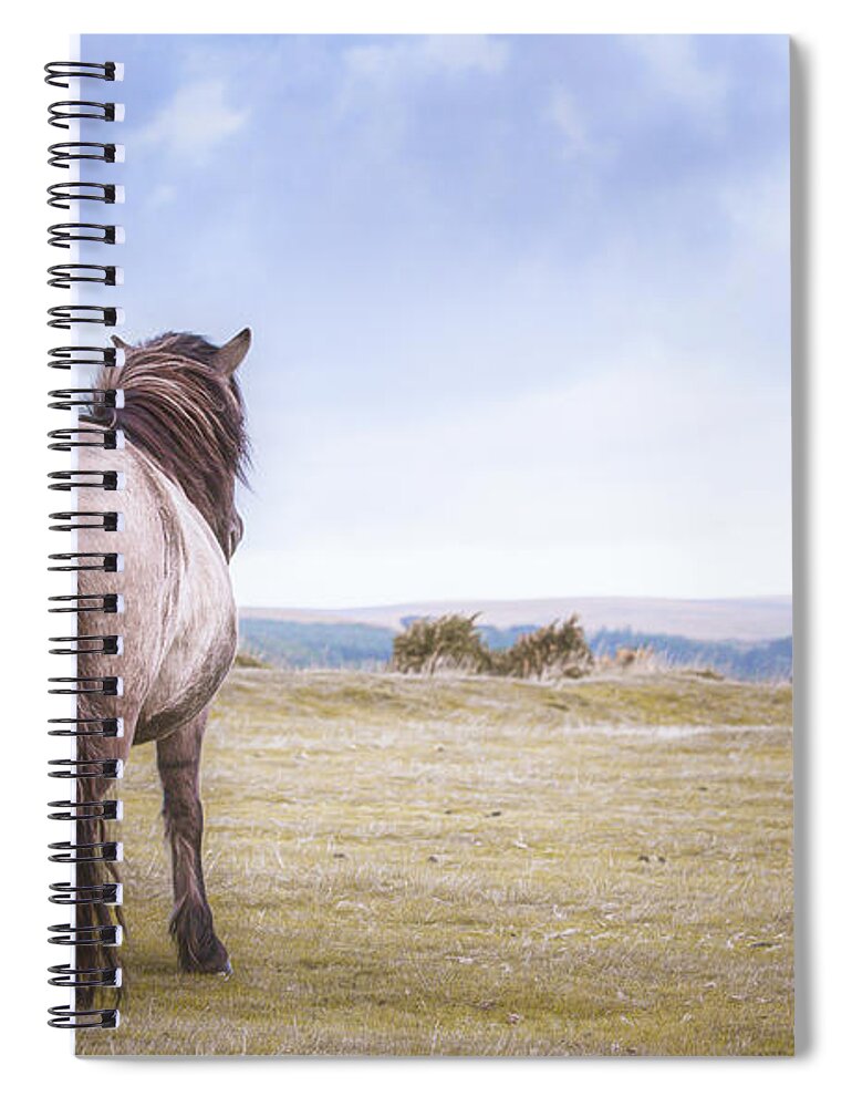 Horse Spiral Notebook featuring the photograph Time to breathe - Horse Art by Lisa Saint